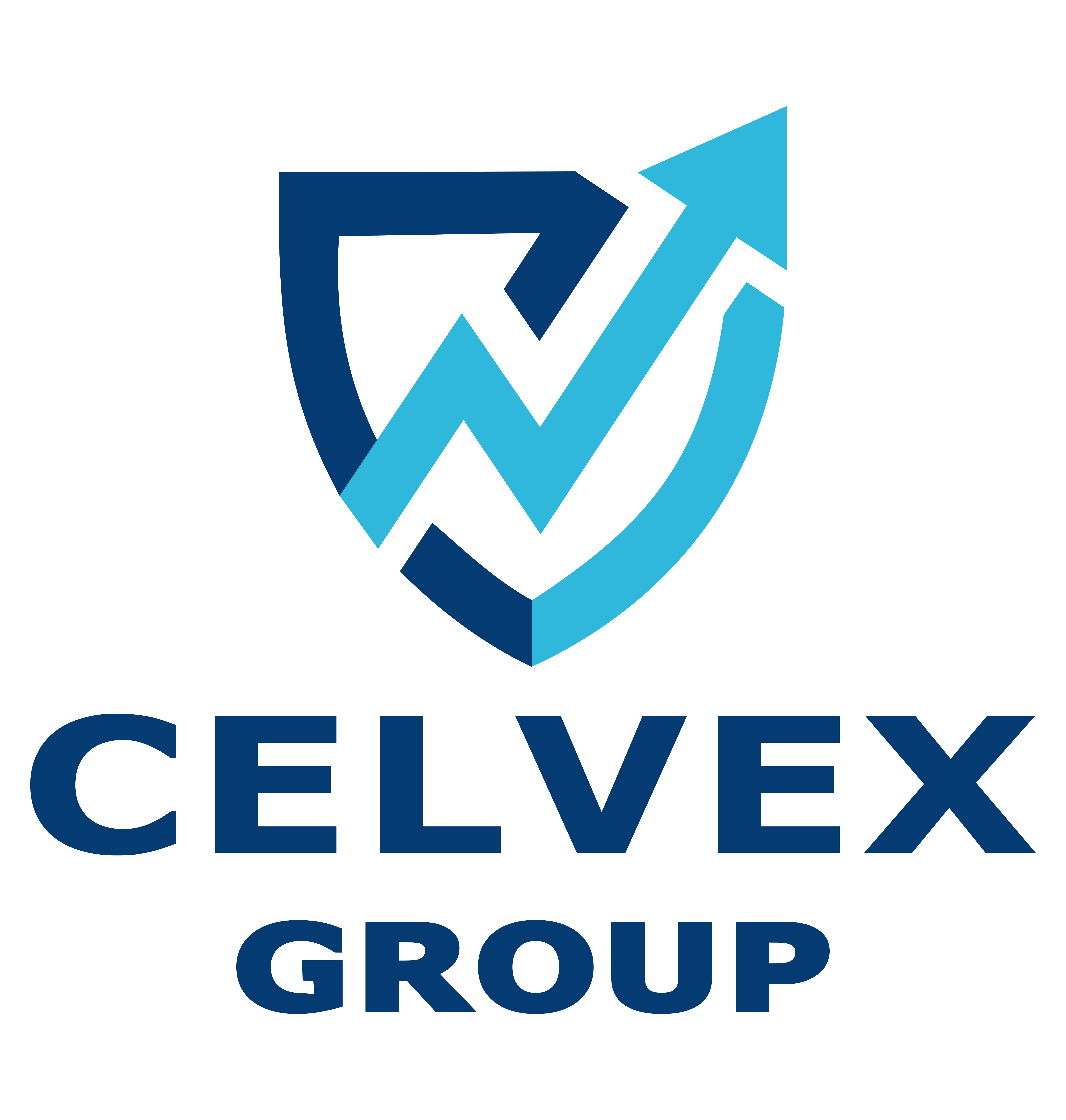CELVEX Group